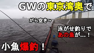 【東京都某所】検証！アミコマセとオキアミどちらが釣れる？GW中の5月上旬、都内の東京湾に面した潮通しのいい堤防がある海釣り公園で雨の中トリックサビキと泳がせ釣りをしてみたら…！【2022.05.01】