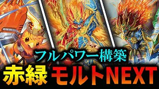 フルパワー構築の《モルトNEXT》が全人類破壊します【デュエマ】