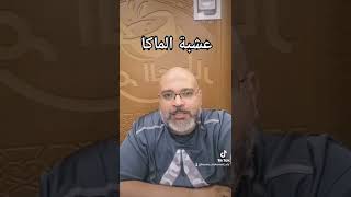 عشبه الماكا