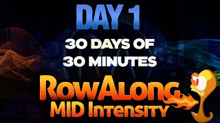 30 days of 30 minute Rows - Day 1 - Alternating 24/20 stroke rates - Indoor Rowing Workout