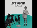 Lil'Tadd - Stupid (official Audio) Prod by Waynebeatz Cover Art by Ment (rakhine rap)