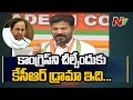 Revanth Reddy comments on CM KCR | Ntv