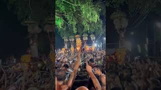 തരൂർ വേല മഹോൽസവം ആൽത്തറ പഞ്ചവാദ്യം #elephant #palakkad #pooram2023 #music #kerala #religion #pooram