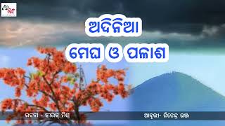 ଅଦିନିଆ ମେଘ ଓ ପଳାଶ | odia kabita | Hirak Mishra | Jitendra Bhanja | shabdaranga