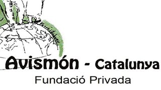 BARCELONAUTES / AVISMON  - VOLUNTARIAT