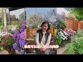 梅姐課堂 🌸 園藝入門 花園打理怎麼開始？如何準備？gardening 101 how to get started