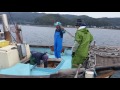 瀬戸内コラトゥーラ　魚醤　平生町　平生湾　瀬戸内海　自然　無添加　イタリアン　フレンチ日本料理　スペイン料理　肉料理　美味しい