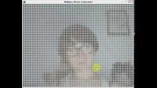 Creative Coding - Kameraremix in Processing