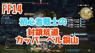 【FF14】ID封鎖坑道カッパーベル銅山　(ノーマル)　初心者タンク　戦士視点