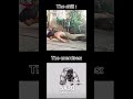 scapula protraction fr 💯🤣 calisthenics streetworkout myanmar age15 athlete planche fyp viral