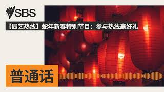 【园艺热线】蛇年新春特别节目：参与热线赢好礼 | SBS Mandarin - SBS 普通话电台