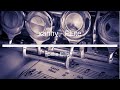 Billie Eilish - xanny - Flute Sheet Music