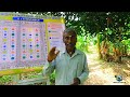 5 layer farming layout in tamil ultra high density food forest iyarkai vivasayam