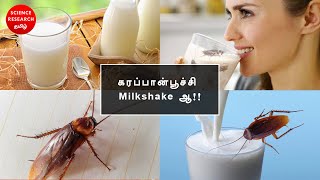 கரப்பான் பூச்சி milkshake ஆ!!!