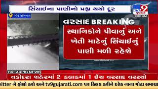 Singoda Dam is full to the brim, forest life won't be facing water crises in Gir Somnath |TV9News