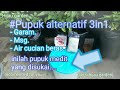 #Pupuk alternatif 3in1.                         - Garam. - Msg, - Air cucian beras.