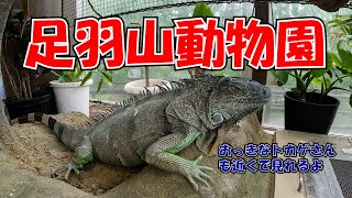 【動物園】福井足羽山動物園にいってきたよ！！【おっきなトカゲさん】