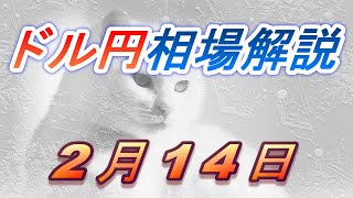 【TAKA FX】ドル円為替相場の前日の動きをチャートから解説。日経平均、NYダウ、金チャートも。2月14日