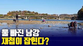 진주 남강 '재첩잡이' 한창