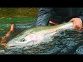 ADX Goes South Full Steelhead Fishing Movie.