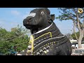 🛑உலகின் தலைசிறந்த சிவபக்தன் இவர்தான் ❗😱 nandi lordshiva