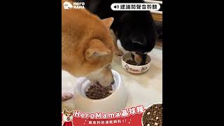 讓狗狗極度興奮的凍乾飼料，現在２包就優惠！要去哪裡買？｜HeroMama 益生菌凍乾晶球糧