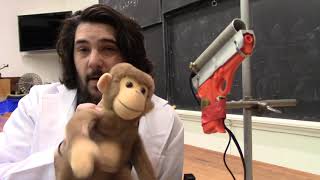 Demo 10105: Monkey Shoot