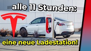 Tesla Supercharger: alle 11 Stunden eine neue E-Auto Ladestation für alle!