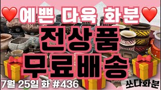 436차  #쏘다화분 7월 26일 |  #화분  #다육화분 #예쁜화분 6만이상무배 다육이화분 #신상 세일 할인 선물