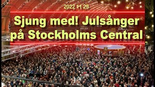 4K 2022 Sjung med! Julsånger på Stockholms Central(2022-11-29 )斯德哥尔摩.中央火车站“将临期”合唱