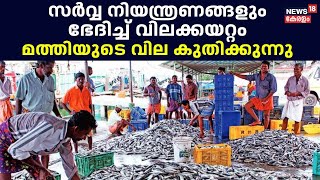 Sardine Fish Price Hike | സർവ്വ നിയന്ത്രണങ്ങളും ഭേദിച്ച് വിലക്കയറ്റം ; മത്തിയുടെ വില കുതിക്കുന്നു