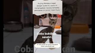 Auto merinding. sound pemujaan kucing di zaman mesir kuno.