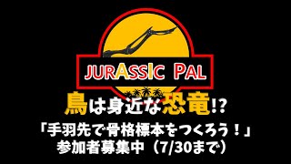 鳥は身近な恐竜!?「手羽先で骨格標本をつくろう！」