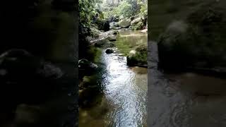 Sungai Dusun Singkir