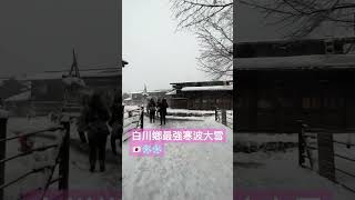 【最強寒波】白川鄉大雪🇯🇵❄️❄️