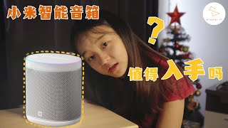 第一个支持Google Assistant的小米智能音箱有多厉害？Mi Smart Speaker Art Global Version 小米智能音箱国际版  | 隔壁小王不专业测评