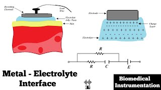 Electrode Skin Interface | Metal Electrolyte Interface | Biomedical Instrumentation and Measurement