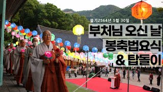 불기 2564년 증심사 부처님 오신날 봉축법요식, 탑돌이