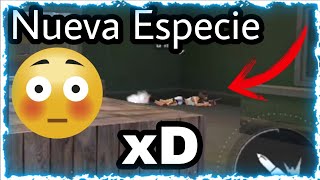 Tipos de jugadores de free fire en duelo de escuadras