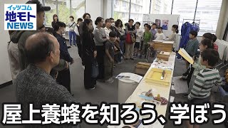 屋上養蜂を知ろう、学ぼう【地モトNEWS】2024/11/5放送