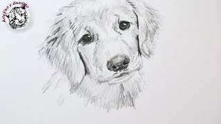 Tips y Trucos de Dibujo con Lapiz | Cómo Dibujar un Perro (audio completo y mejorado)