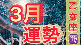 【乙女座さん♍】3月の運勢🌟サクッと占い【恋愛運・仕事運・総合運】～お悩み相談・愚痴聞きしてます👂～