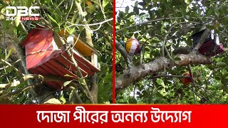 দোজা পীরের পাখির অভয়াশ্রম | DBC NEWS Special