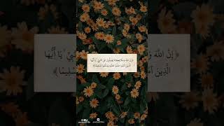 Quran tilawat Quran recitation Holy Quran video  #shorts #short #quran