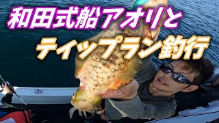 ティップランの季節到来！