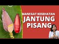 Manfaat BUNGA PISANG yang JARANG DIKETAHUI ORANG | dr.Emasuperr