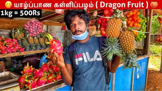 Jaffna Dragon Fruit | Jaffna fruit Shop Tour | Jaffna Suthan