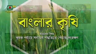 বাংলার কৃষি - কৃষক পর্যায়ে সনাতন পদ্ধতিতে পেঁয়াজ সংরক্ষণ - কৃষি সমৃদ্ধির অনুষ্ঠান