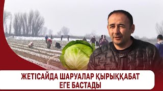 ШАРУАЛАР ҚЫРЫҚҚАБАТ ЕГУДІ БАСТАДЫ