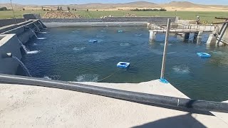 عملکرد پمپ هوادهی استخر پرورش ماهی fish pond aeration blower pump